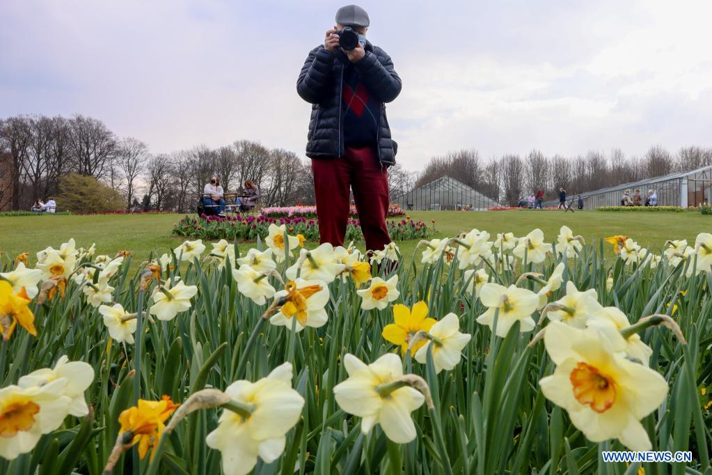 A man takes photos at the Floralia Brussels, or the 18th edition of the international flower exhibition, at the Grand Bigard castle near Brussels, Belgium, April 14, 2021. The exhibition will last until May 2. The park of 14 hectares showcases more than one million flowers, with almost 400 varieties of tulips. Hyacinths and daffodils are also well represented. (Xinhua/Zheng Huansong)