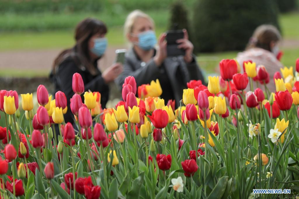 People visit the Floralia Brussels, or the 18th edition of the international flower exhibition, at the Grand Bigard castle near Brussels, Belgium, April 14, 2021. The exhibition will last until May 2. The park of 14 hectares showcases more than one million flowers, with almost 400 varieties of tulips. Hyacinths and daffodils are also well represented. (Xinhua/Zheng Huansong) 