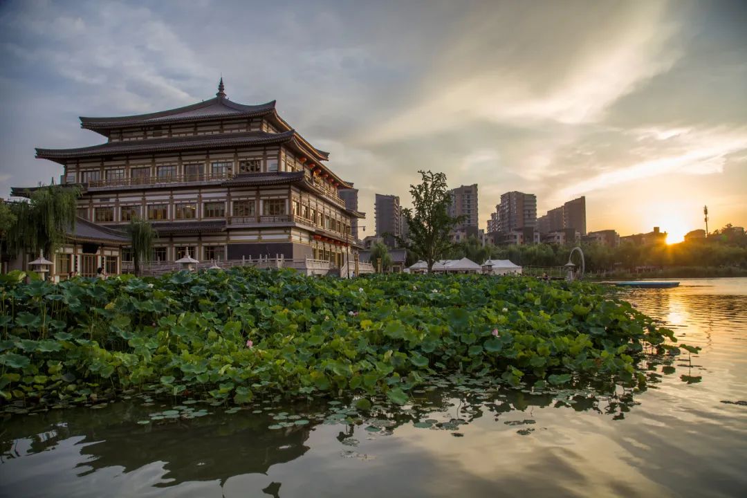 方庄免费游玩攻略,方庄免费游玩攻略大全