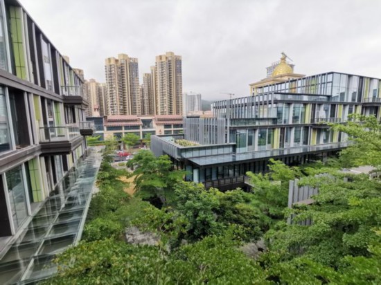 横琴澳门青年创业谷已成为澳门青年来内地创业的首选地。(新华社记者 徐弘毅 摄)