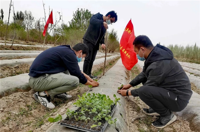 莎车县纪委监委将“党史学习教育”课堂设在田间地头，组织纪检监察干部讲解党的惠民政策，教育引导群众感党恩、听党话、跟党走。（朱萌 摄）