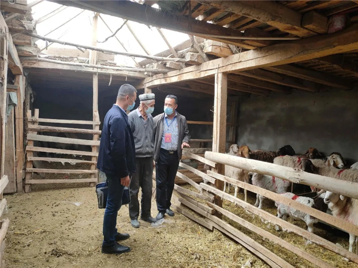 和田地委巡察组和策勒县委巡察组,采取上下联动的巡察模式,了解农民畜牧养殖销售及增收情况。(马卫新 摄)
