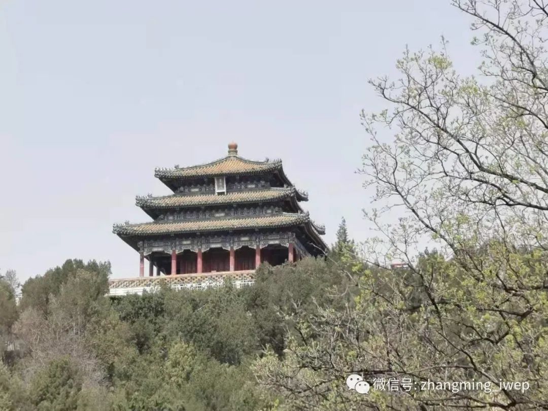 张明 | 世界经济中的“三低两高”现象