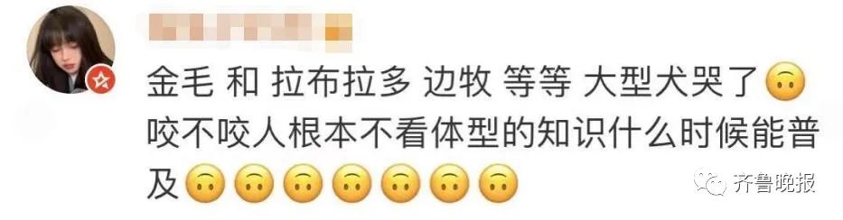 济南拟新规:每户只能养一只小型犬