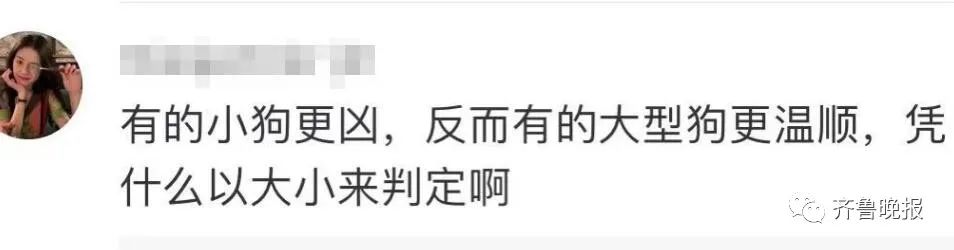 济南拟新规:每户只能养一只小型犬