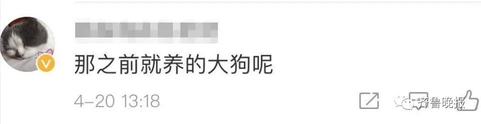 济南拟新规:每户只能养一只小型犬
