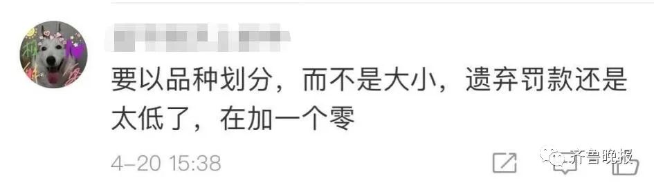 济南拟新规:每户只能养一只小型犬