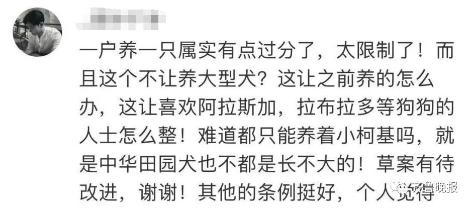 济南拟新规:每户只能养一只小型犬