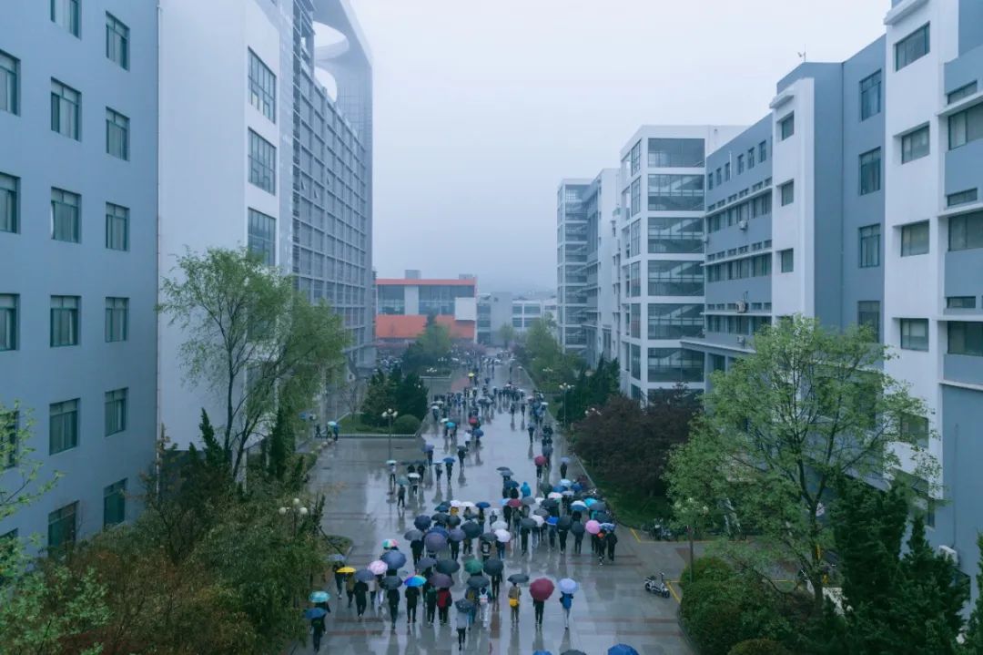 今天,我们一起在石大春景中漫步