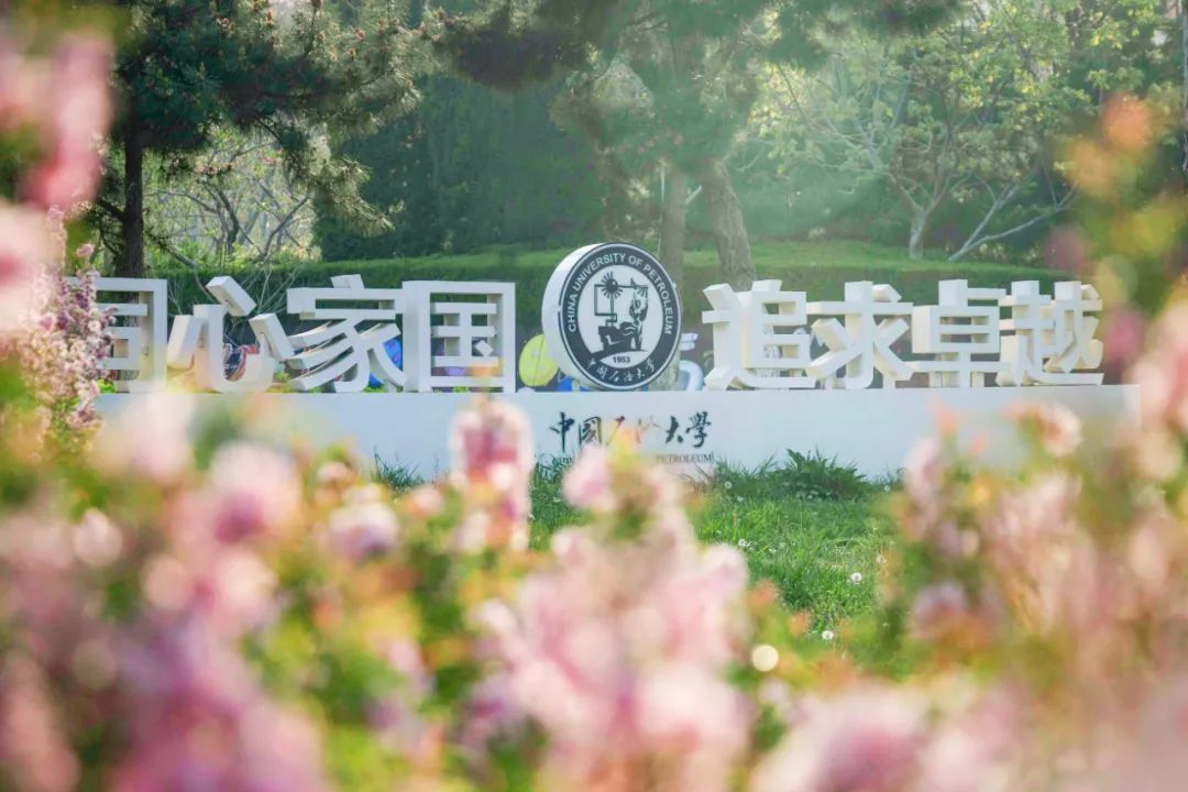 今天,我们一起在石大春景中漫步