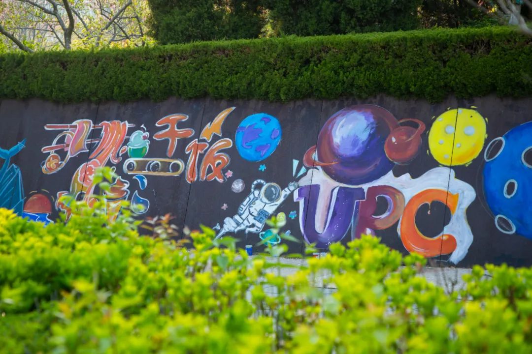 今天,我们一起在石大春景中漫步