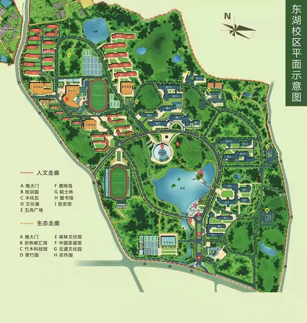 考场、路线、注意事项…学姐带你探营浙江农林大学“三位一体”综合评价招生考试