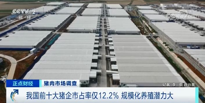 跌破15元/斤!猪肉价格坐“滑梯”!养猪还赚钱吗?