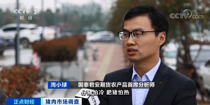 跌破15元/斤!猪肉价格坐“滑梯”!养猪还赚钱吗?