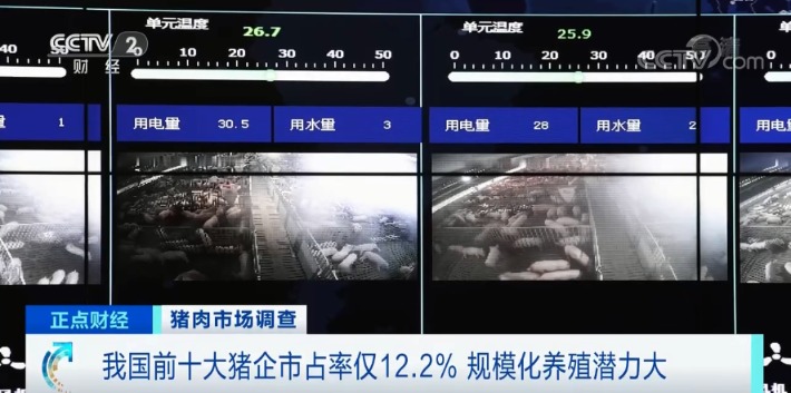 跌破15元/斤!猪肉价格坐“滑梯”!养猪还赚钱吗?