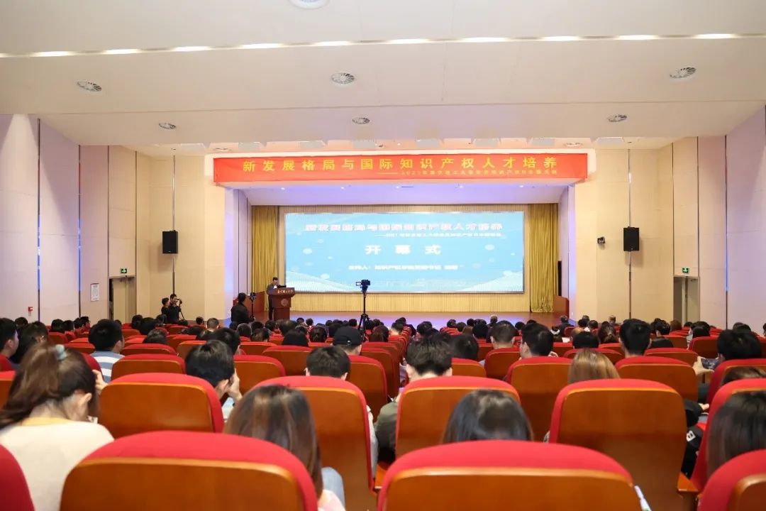 世界知识产权日丨新发展格局与国际知识产权人才培养