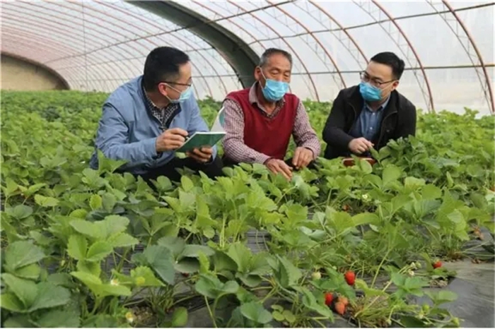全区各级纪检监察机关用好监督“放大镜” 聚焦群众身边事