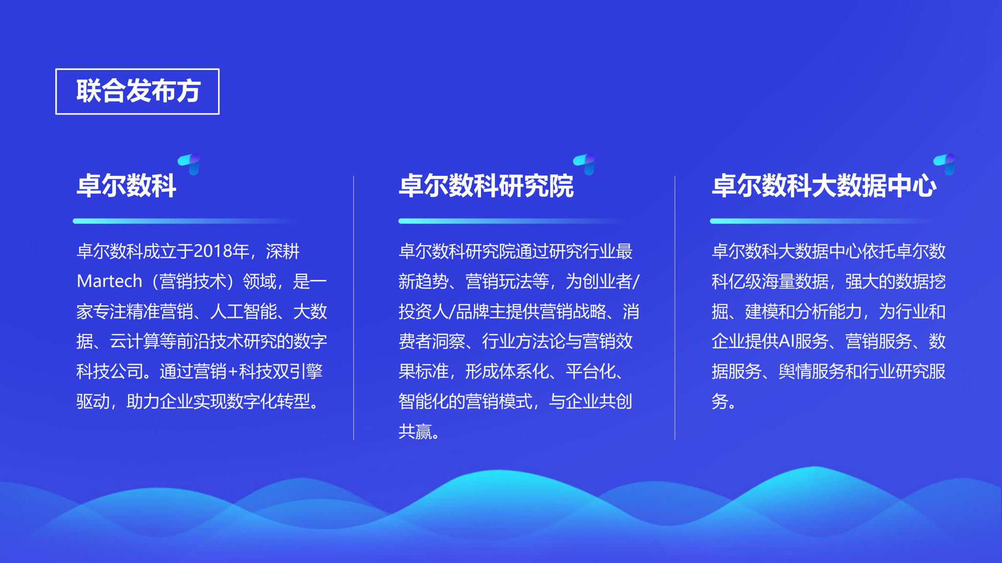 内衣销售总结怎么写_总结怎么写(2)