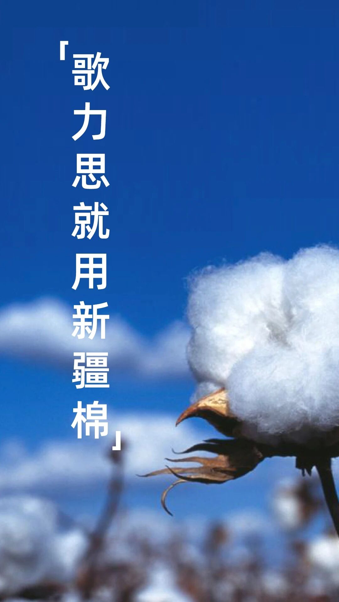 歌力思:打造拥有“中国魂”的世界级高端时装集团