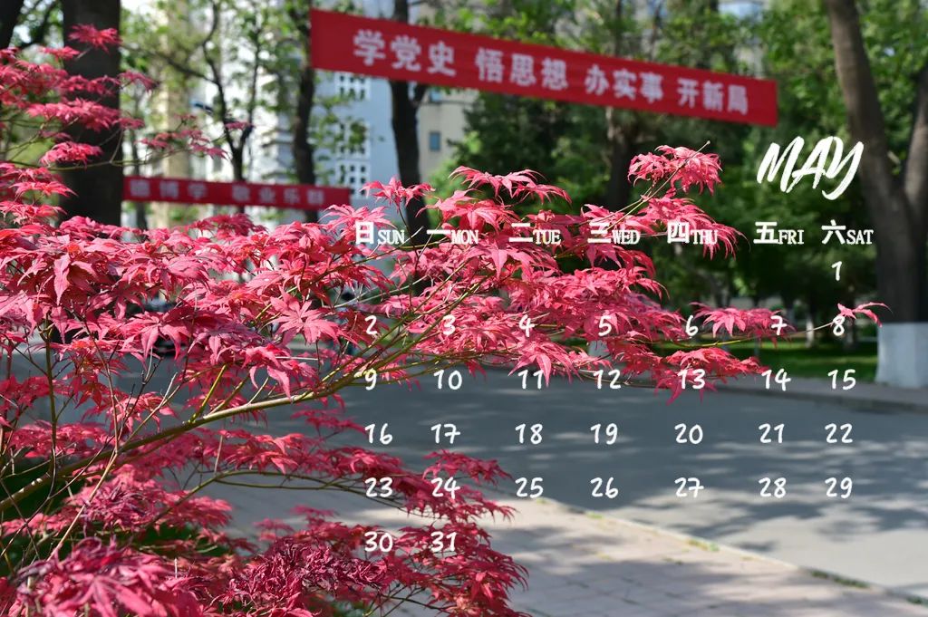 上新瞭,北郵!專屬月歷,陪你探尋5月的足跡~-凤凰体彩(图13) 上新瞭,北郵!專屬月歷,陪你探尋5月的足跡~-凤凰体彩(图13)