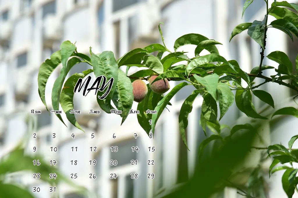上新瞭,北郵!專屬月歷,陪你探尋5月的足跡~-凤凰体彩(图9) 上新瞭,北郵!專屬月歷,陪你探尋5月的足跡~-凤凰体彩(图9)