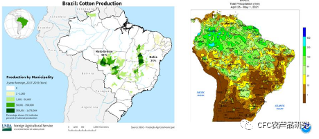 巴西棉花种植分布和干旱地区分布