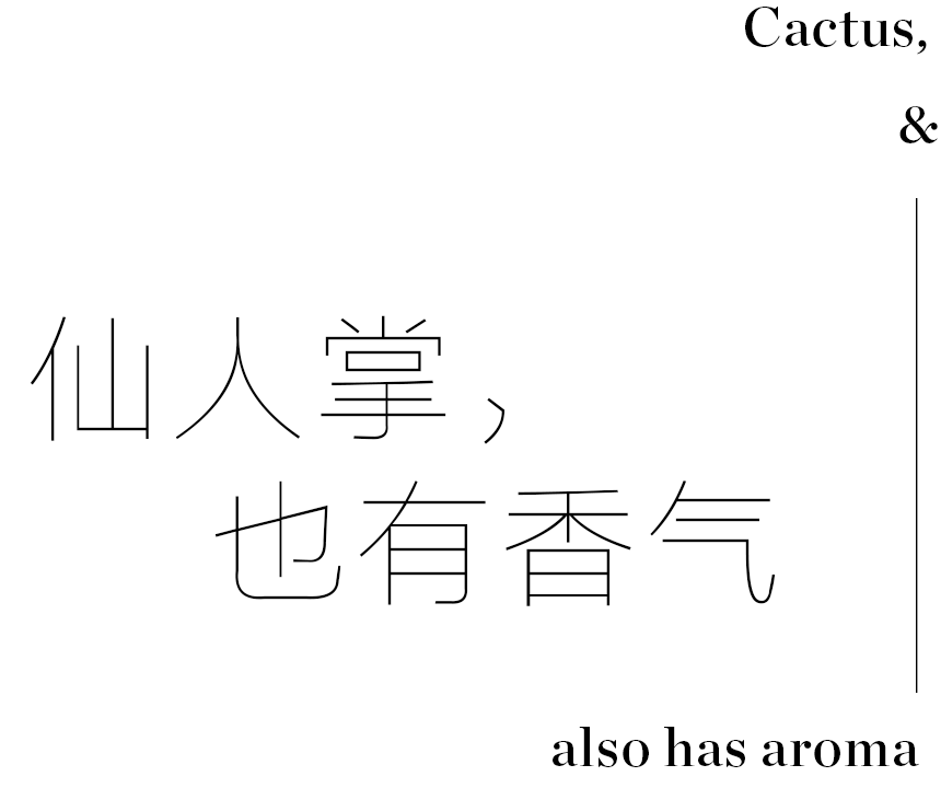 创意无边，打造更灵动的家