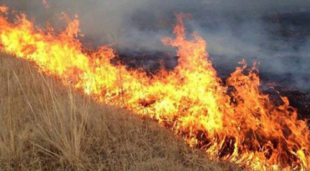 ��5��19�����ɹŹ�����ʡ������ԭ���֣�ͼƬ��Դ���ɹŹ�News.mn��������