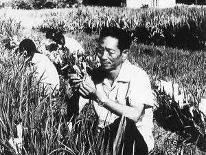 禾下乘凉梦,恍然近百年!袁隆平:我想让饭碗握在中国人手上休闲区蓝鸢梦想 - Www.slyday.coM 禾下乘凉梦,恍然近百年!袁隆平:我想让饭碗握在中国人手上休闲区蓝鸢梦想 - Www.slyday.coM