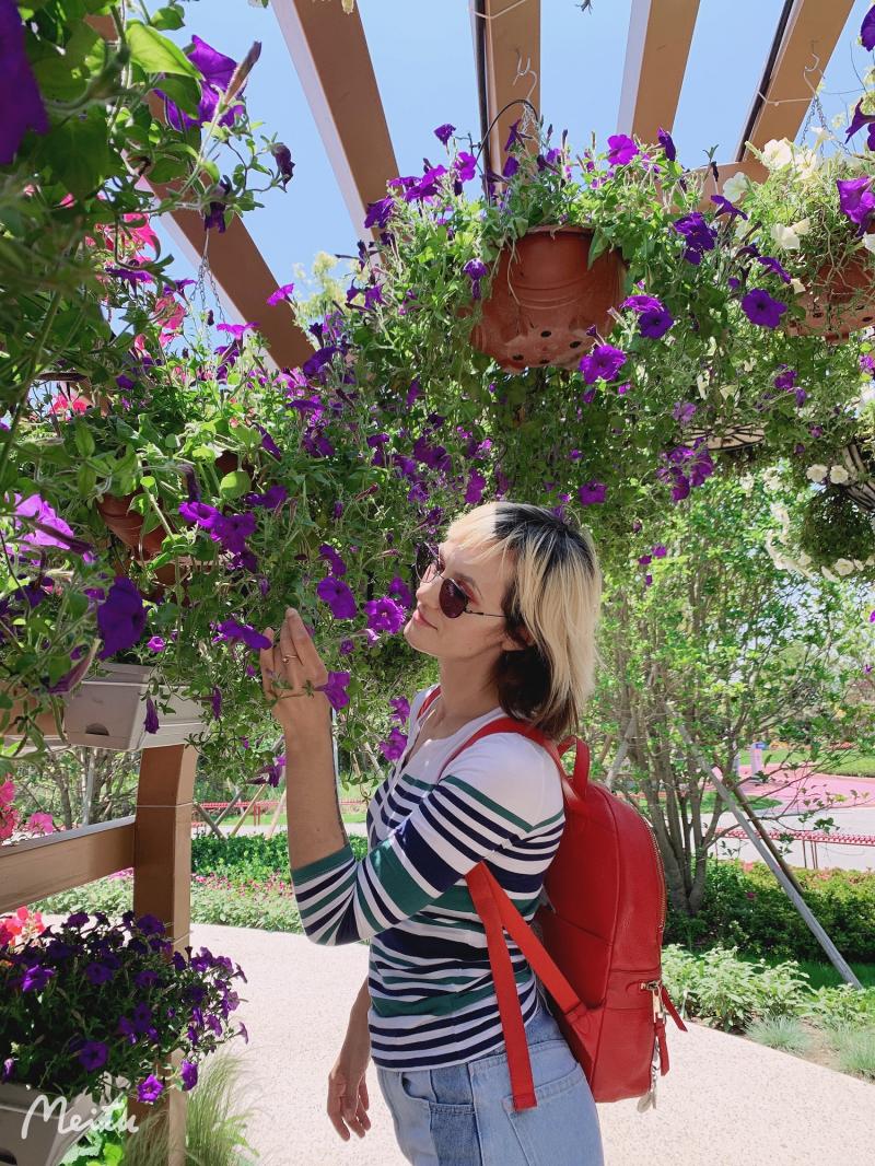 外科风云电视剧演员表老院长 d914-kqpyffy9038971.jpg