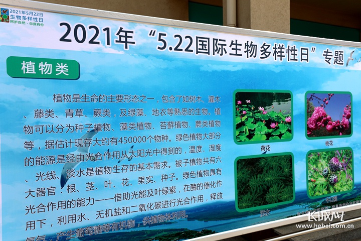 第28个世界人口日宣传活动_微新闻 第28个 世界人口日 主题宣传活动在江苏南京(3)