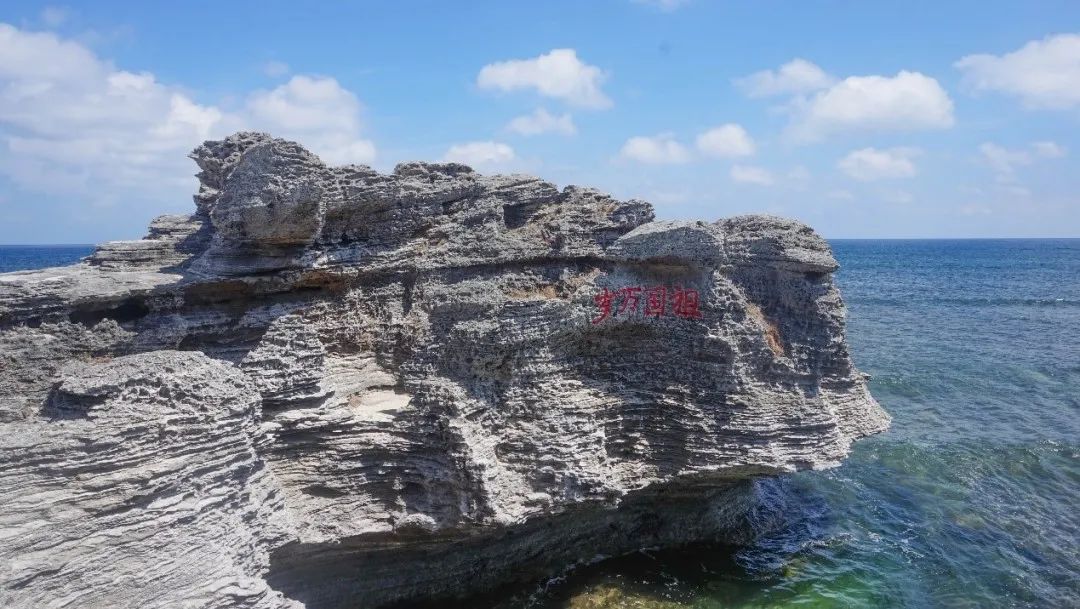 海蚀凹槽和海蚀崖(西沙“老龙头”)(吴礼彬 拍摄)