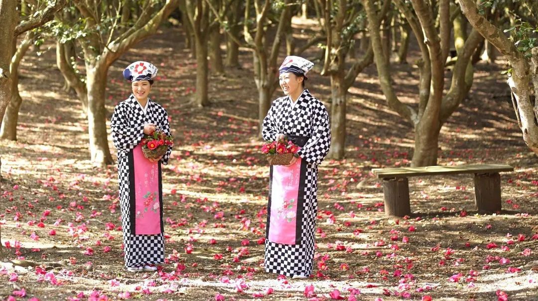 白日梦想家|假期第一天,海岸线上的人呢?