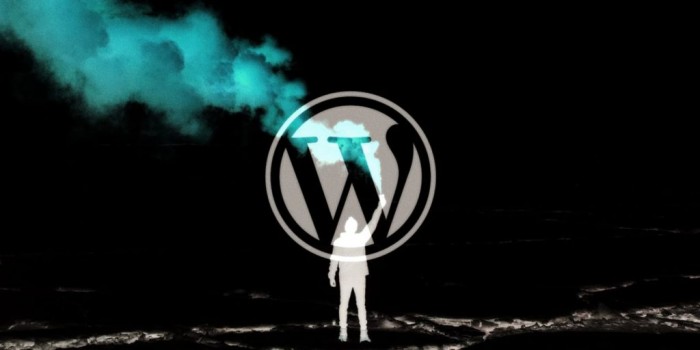 wordpress好学吗（WordPress迎来18岁生日 已搭建全球超过40%网站）WordPress / WordPress的在线学习平台搭建...