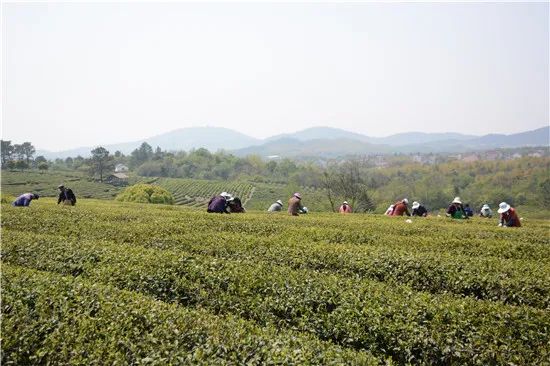 黄土高坡曲谱伴奏(3)