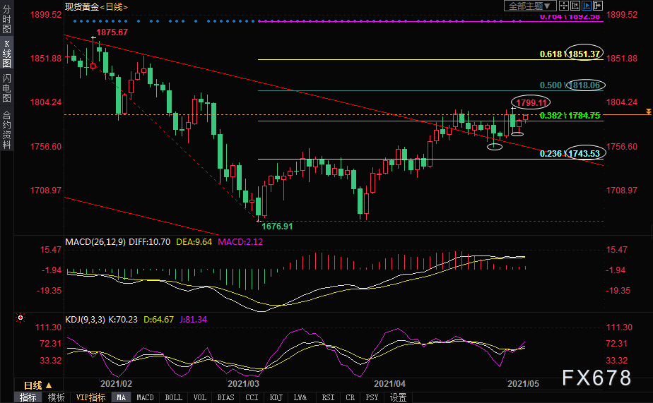  （现货黄金日线图）
