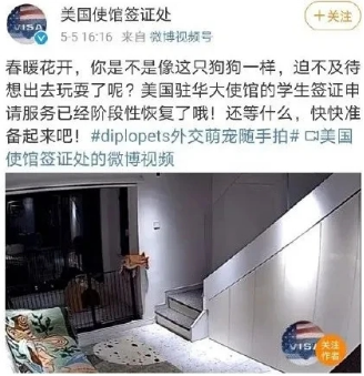 (图2) (图2)