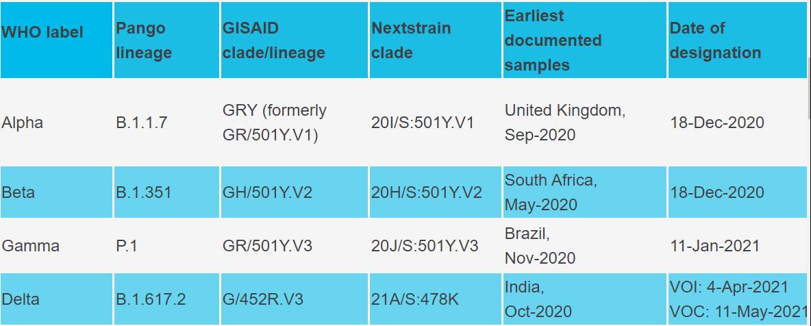 ���ִ沿���¹ڲ�����������Ϣ