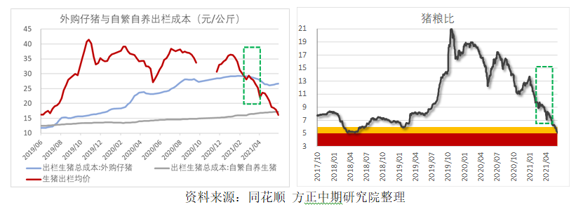 猪肉储备托市政策点评