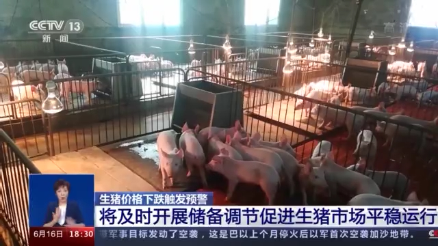 央视新闻视频截图