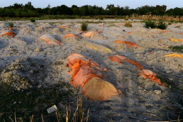 野狗啃食印度河岸疑似新冠患者尸体当地人悲鸣人性泯灭