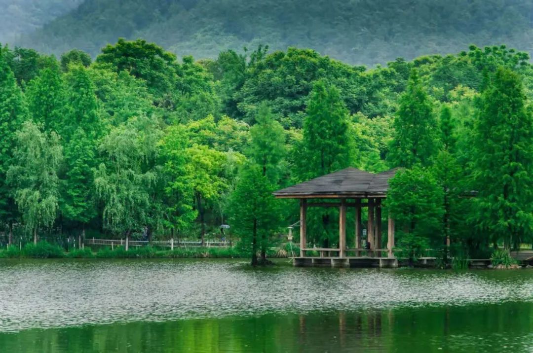 @准大学生,在美丽的浙江农林大学,我们等你一起读书做学问