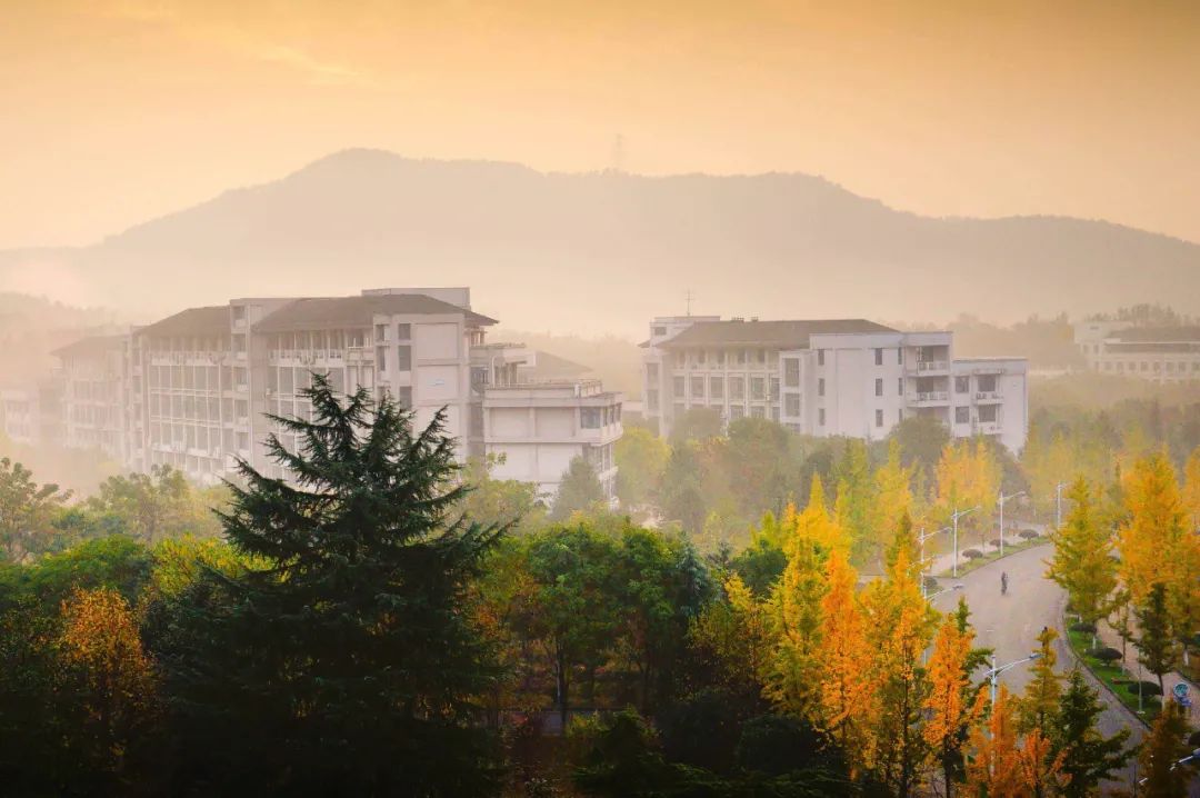@准大学生,在美丽的浙江农林大学,我们等你一起读书做学问