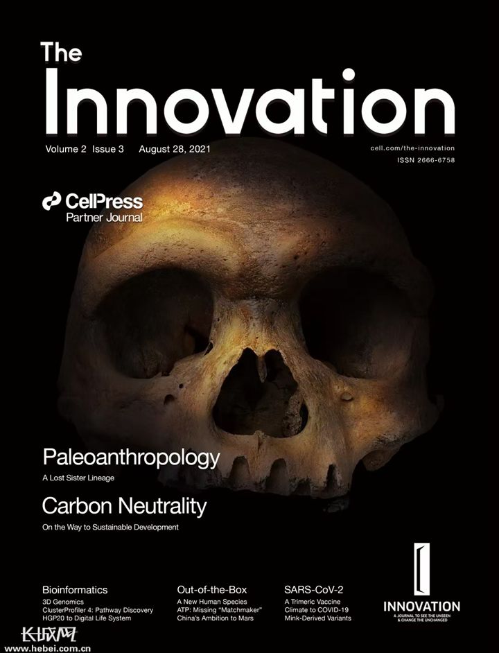《The Innovation》杂志上以封面文章报道了中更新世古人类头骨化石的研究成果。河北地质大学/供图