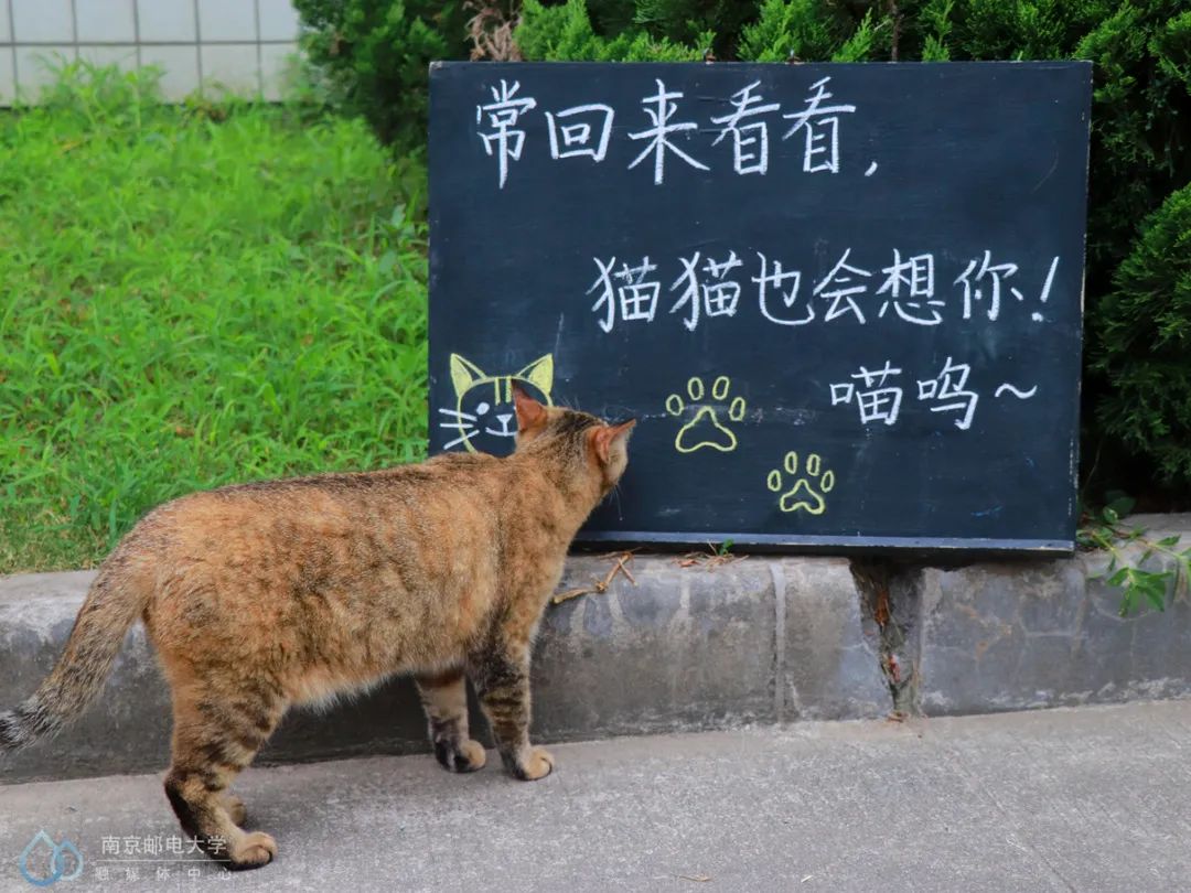毕业季,这一次,我们不说“再见”!