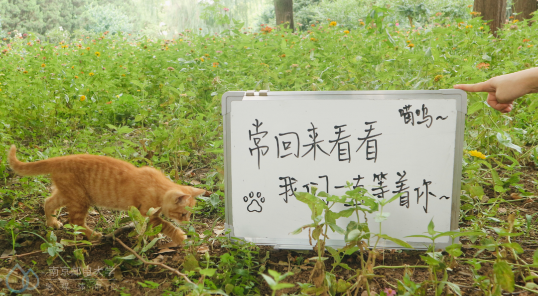 毕业季,这一次,我们不说“再见”!
