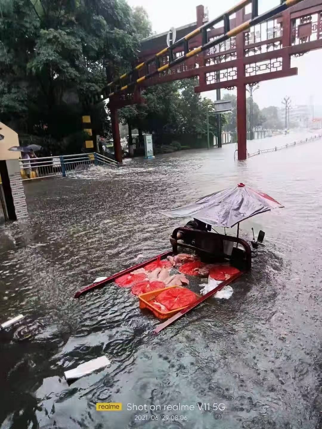 安徽黄山：暴雨引发洪涝灾害 被困群众及时转移_白果树村