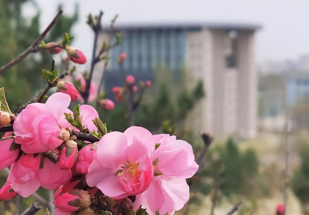 鄂尔多斯应用技术学院唱响《中国人民志愿军战歌》@内蒙古艺术学院,我们期待!