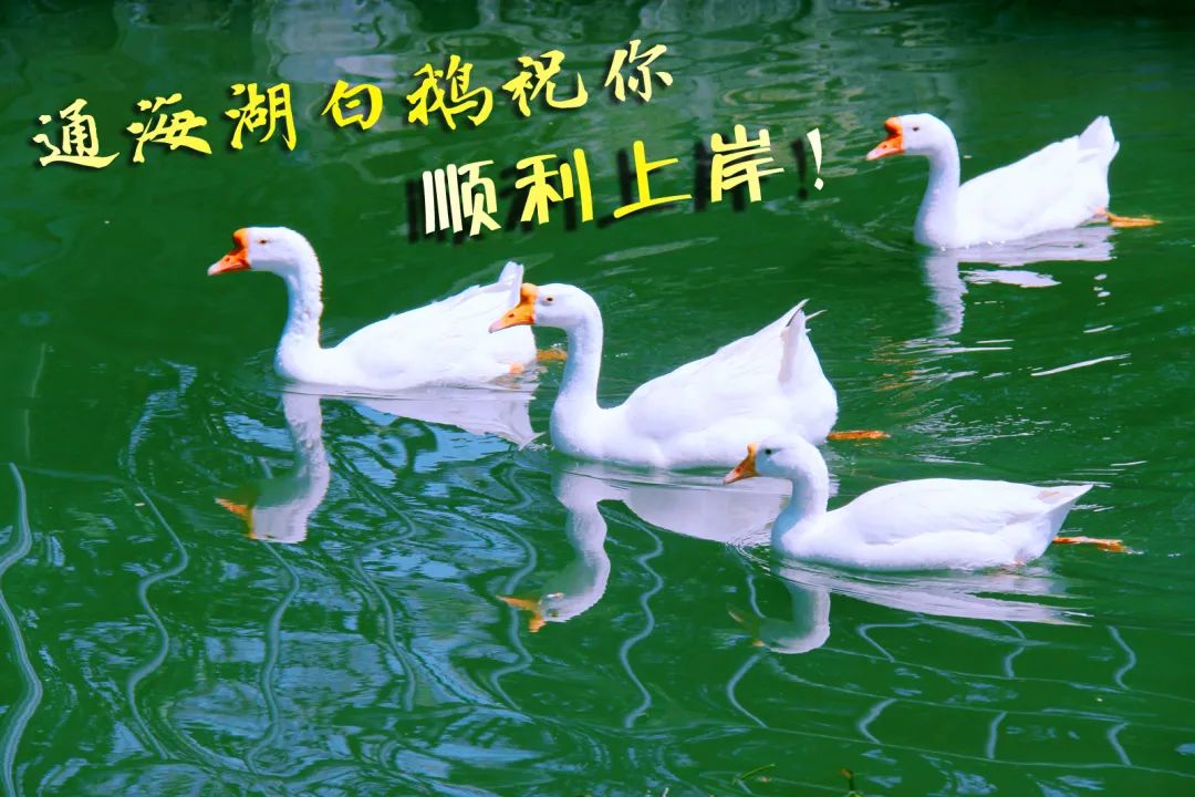 华理2021年本科招生章程新鲜出炉~今朝出鞘试锋芒!下一站:华理!