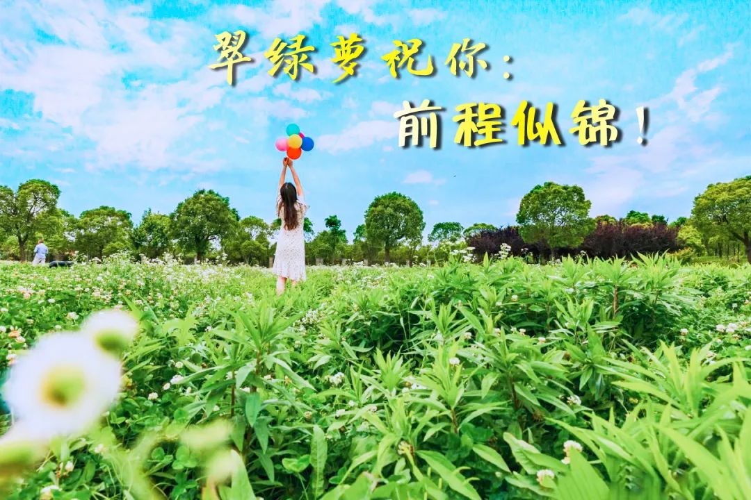 华理2021年本科招生章程新鲜出炉~今朝出鞘试锋芒!下一站:华理!